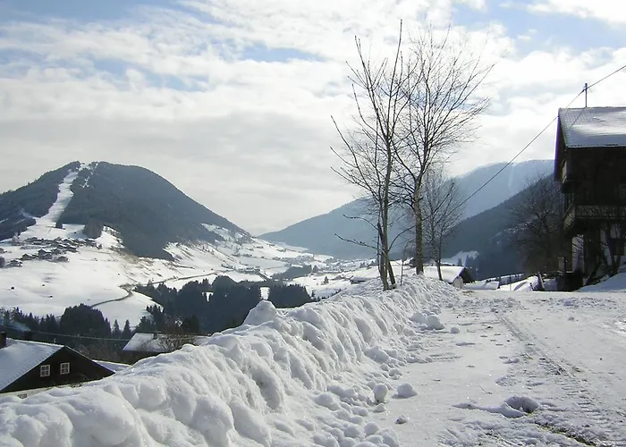 شقة Haus Mitterrutzner كارتياسش