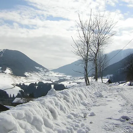 Daire Haus Mitterrutzner Kartitsch